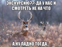 Экскурсию??-да у нас и смотреть не на что А,ну ладно тогда...