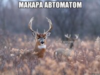 МАКАРА АВТОМАТОМ 