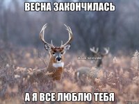 Весна закончилась А я все люблю тебя