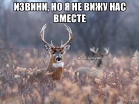 извини, но я не вижу нас вместе 