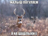 Малыш погуляем Я на шашлыки))