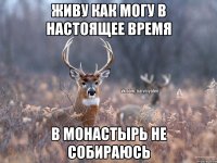 Живу как могу в настоящее время В монастырь не собираюсь