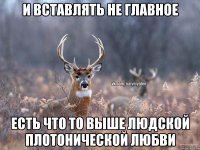 и вставлять не главное есть что то выше людской плотонической любви