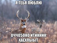 Я тебя люблю Оччо5оно итинник хаехпыыт