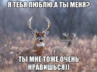 Я тебя люблю.А ты меня? Ты мне тоже очень нравишься))