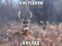 я не ревную а ну лад