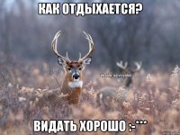 Как отдыхается? Видать хорошо :-***