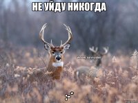 Не уйду никогда :-*