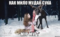 как мило мудак сука мур мур :*