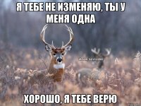 Я тебе не изменяю, ты у меня одна Хорошо, я тебе верю