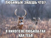 Любимый, знаешь что? Я никого не любила так как тебя