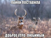 Лайки поставила Доброе утро, любимый *