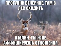 Прогулки вечерние. Там в лес сходить А млин. Ты ж не аффишируешь отношения