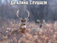 Да, Алина. Слушаем 