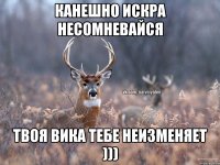 канешно искра несомневайся твоя вика тебе неизменяет )))