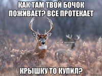 Как там твой бочок поживает? Все протекает Крышку то купил?