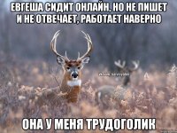 Евгеша сидит онлайн, но не пишет и не отвечает, работает наверно Она у меня Трудоголик