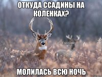 Откуда ссадины на коленках? Молилась всю ночь