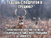 Едешь с подругой в Грецию? Конечно я не против, ты же не собираешься там с иностранцами зажигать.