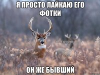 Я просто лайкаю его фотки Он же бывший