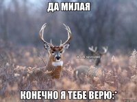 да милая Конечно я тебе верю:*