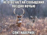 Не отвечает на сообщения поздно ночью Спит наверное