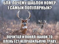 бля, почему шаблон номер 1 самый популярный? почитал и понял. Какой-то олень ест неправильную траву