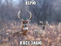 Верю Я все знаю