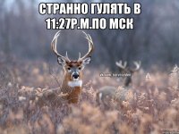 Странно гулять в 11:27p.m.по мск 