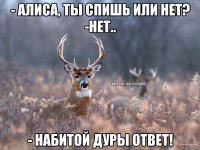 - Алиса, ты спишь или нет? -нет.. - набитой дуры ответ!