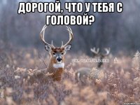 дорогой, что у тебя с головой? 