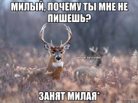 милый, почему ты мне не пишешь? занят милая*