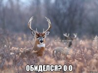  Обиделся? 0.о