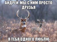 Андрей, мы с ним просто друзья я тебя одного люблю