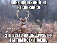 конечно милый, не беспокойся это всего лишь друзья, и ты там всех знаешь