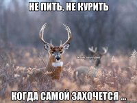 Не пить, не курить Когда самой захочется ...