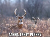  Алина-тянет-резину