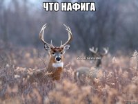 что нафига 