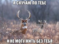 Я скучаю по тебе и не могу жить без тебя