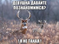 девушка давайте познакомимся? ! я не такая !