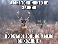 а мне тоже никто не звонил по объяве только. у меня выходные )