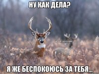 ну как дела? я же беспокоюсь за тебя...