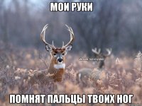 мои руки помнят пальцы твоих ног