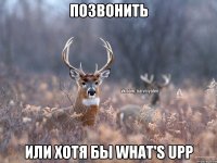 позвонить или хотя бы What's upp