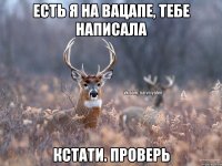 есть я на вацапе, тебе написала кстати. проверь