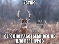 устаю Сегодня работы много, не для перекуров