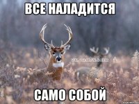 все наладится само собой