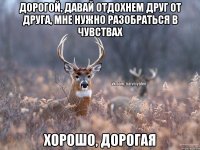 Дорогой, давай отдохнем друг от друга, мне нужно разобраться в чувствах хорошо, дорогая