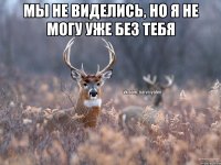 мы не виделись, но я не могу уже без тебя 