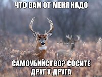 что вам от меня надо самоубийство? сосите друг у друга